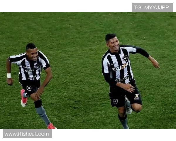 2018年米内罗竞技与博塔弗戈激战回顾精彩瞬间与赛季影响分析